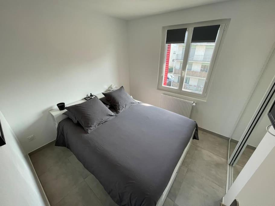 Appartement T3 En Centre-Ville De Thonon-Les-Bains Exteriér fotografie