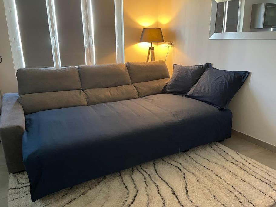Appartement T3 En Centre-Ville De Thonon-Les-Bains Exteriér fotografie